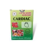Ceai pentru Afecțiuni Cardiace