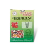 Ceai pentru Afecțiuni Tiroidiene (Glanda Tiroidă)